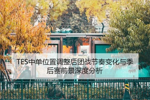 TES中单位置调整后团战节奏变化与季后赛前景深度分析