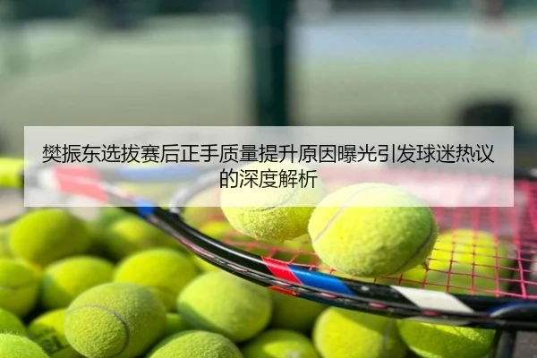 樊振东选拔赛后正手质量提升原因曝光引发球迷热议的深度解析